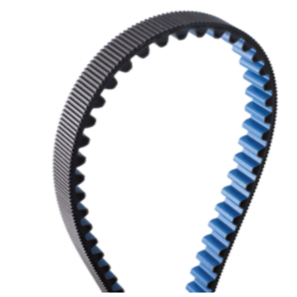 Gates Replacement 8MGT-800-12 Poly Chain GT Carbon Belts