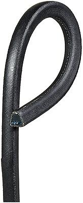 Gates Replacement 3L415 Truflex V-Belts